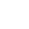 Icon Kiến Kim